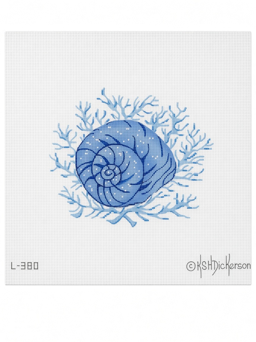 Moon Shell on Coral