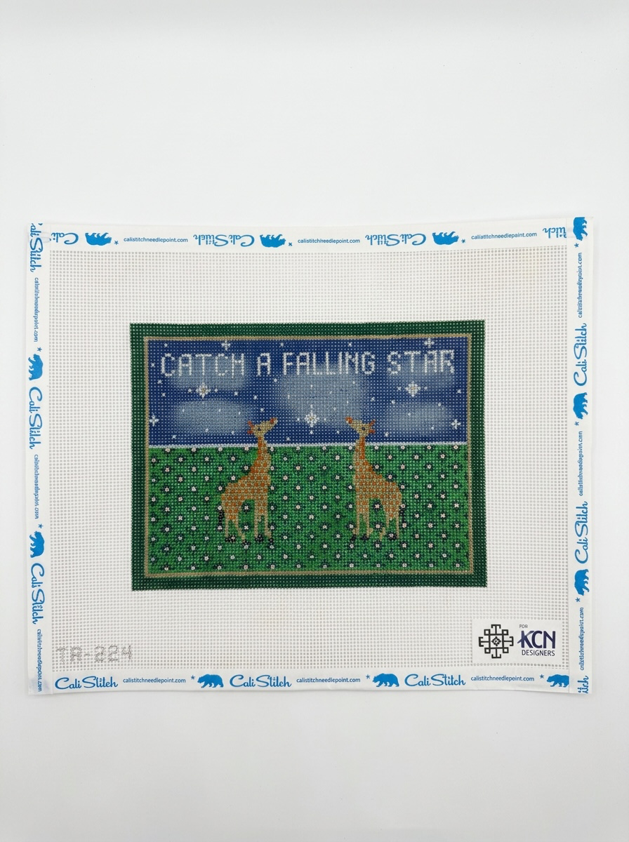 Catch A Falling Star