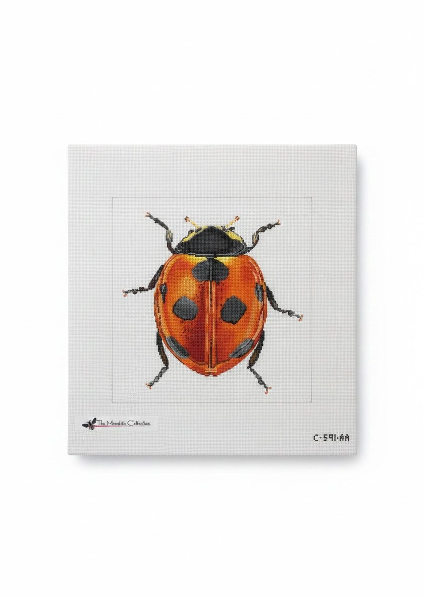 Little Bugs - Lady Bug