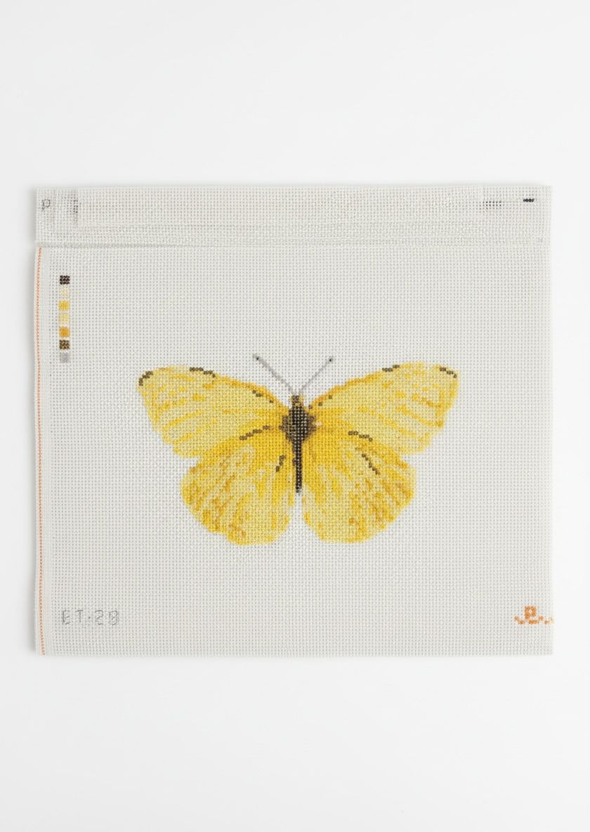 Cloudless Sulfur Canvas