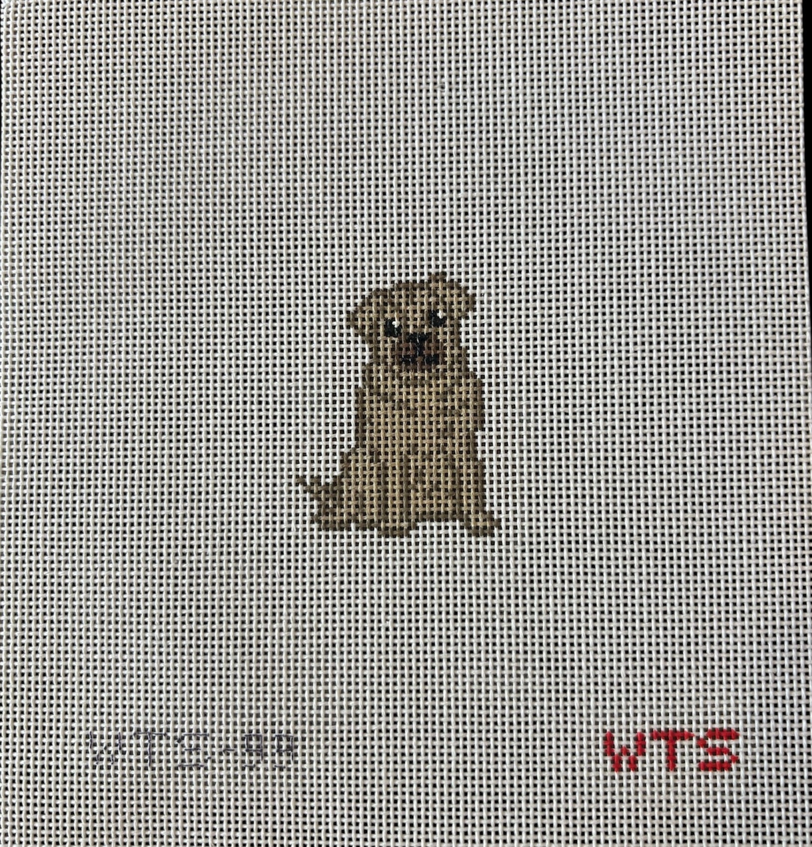 Mini Pug