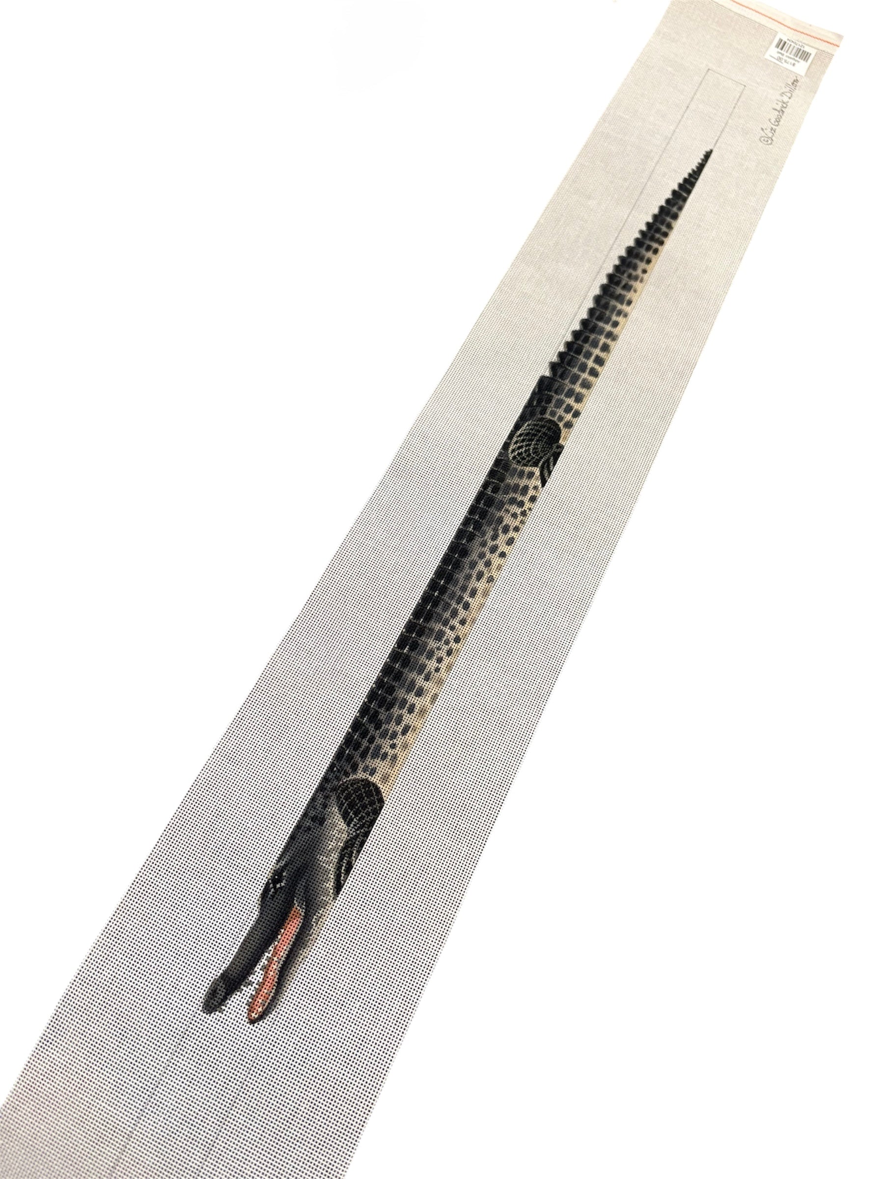 Alligator Belt