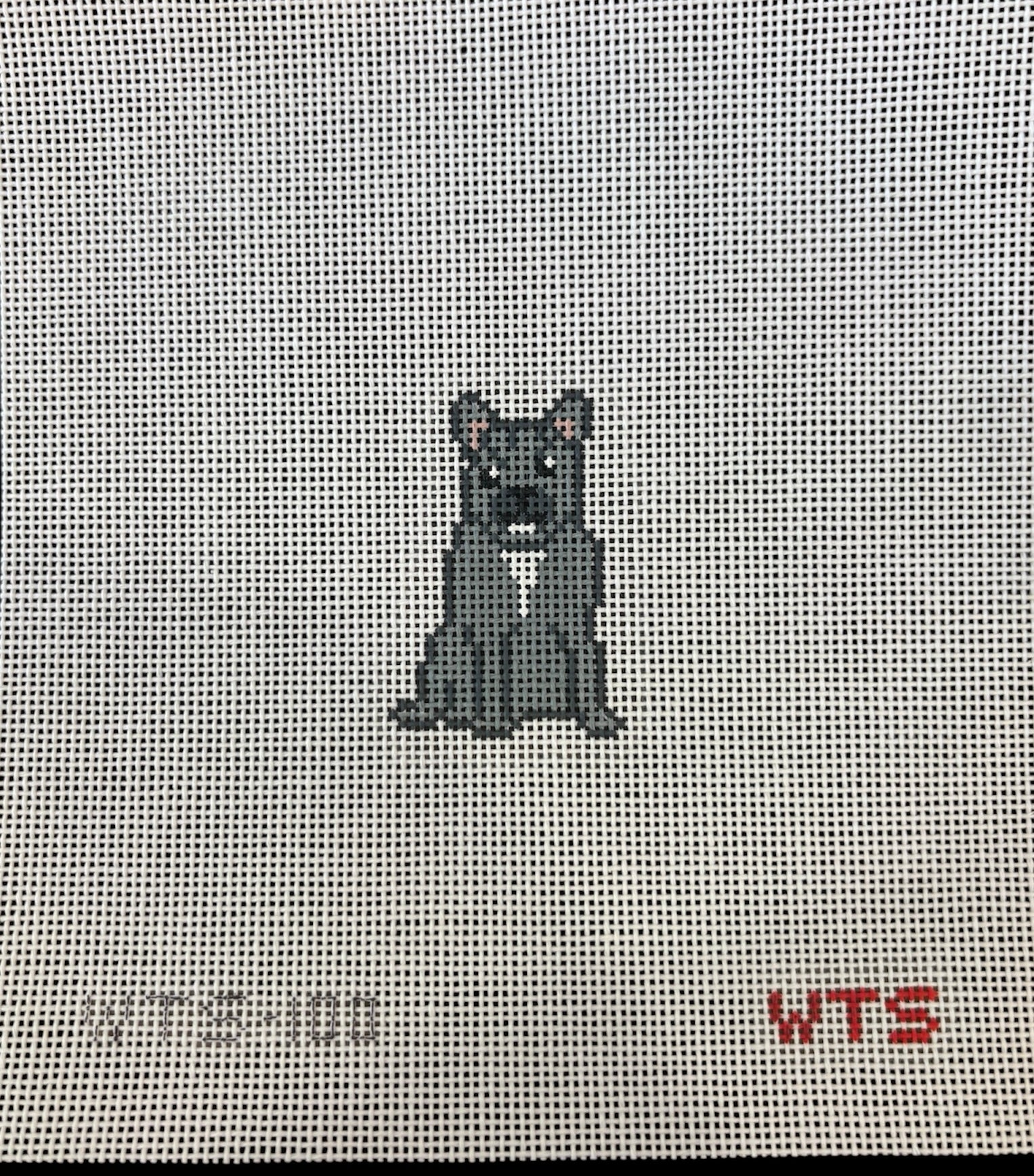 Mini Frenchie