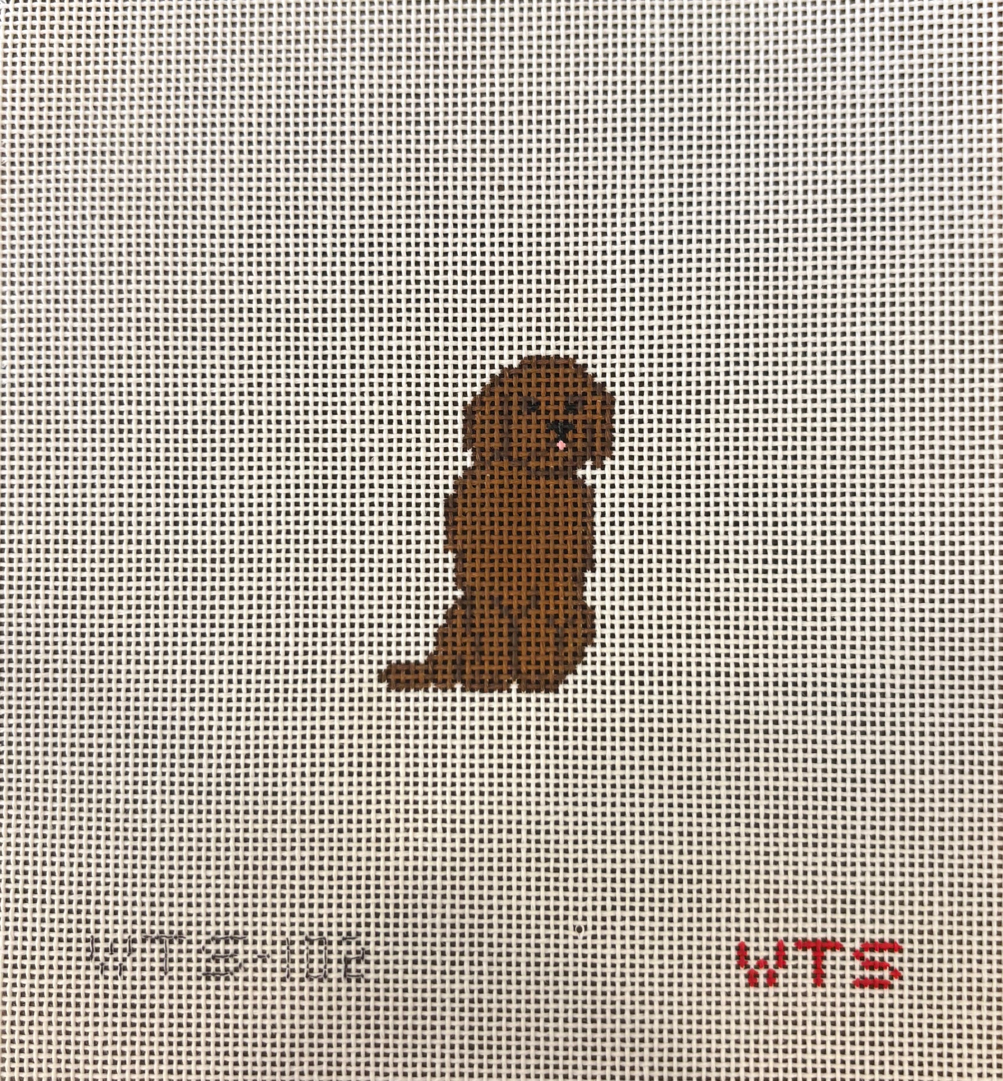 Mini Chocolate Lab
