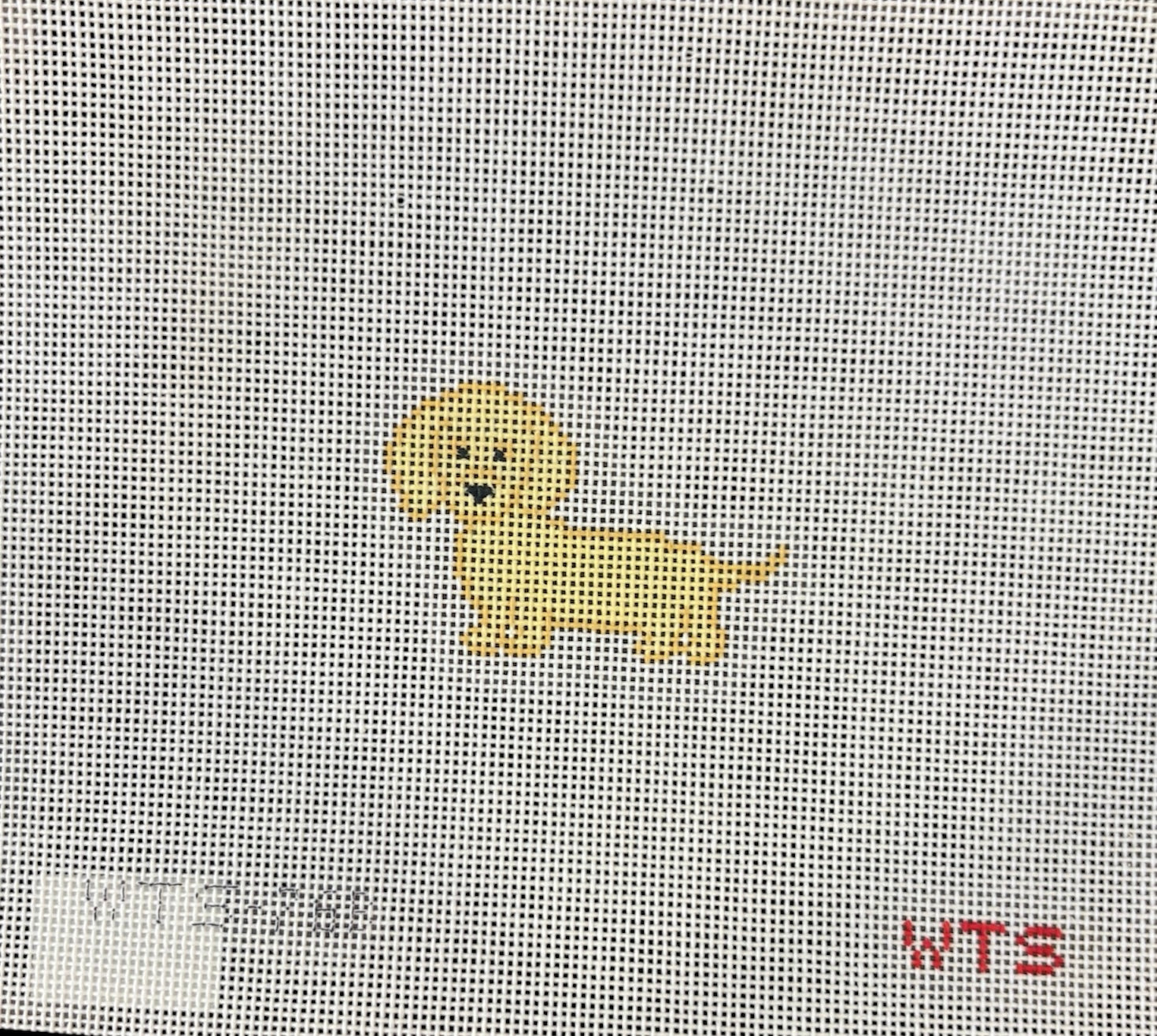 Mini Golden Weenie