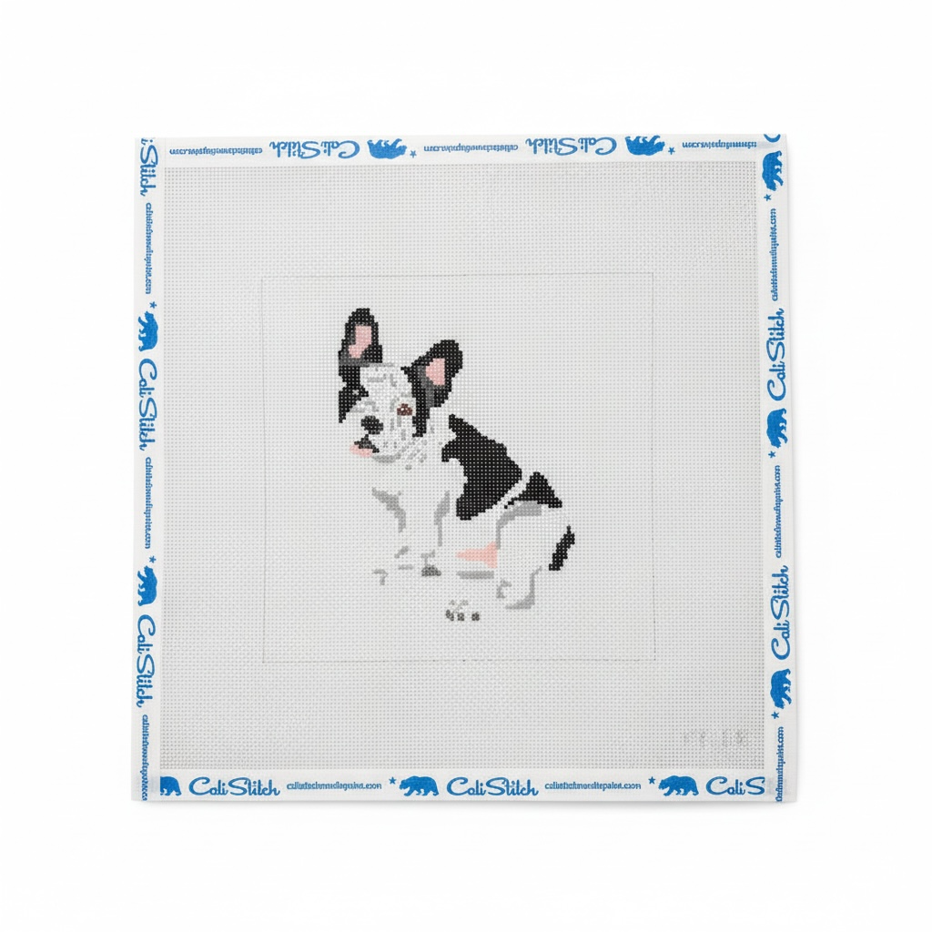 French Bull Dog